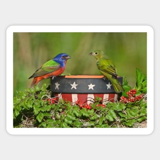 Painted Bunting Birds Pair Sticker